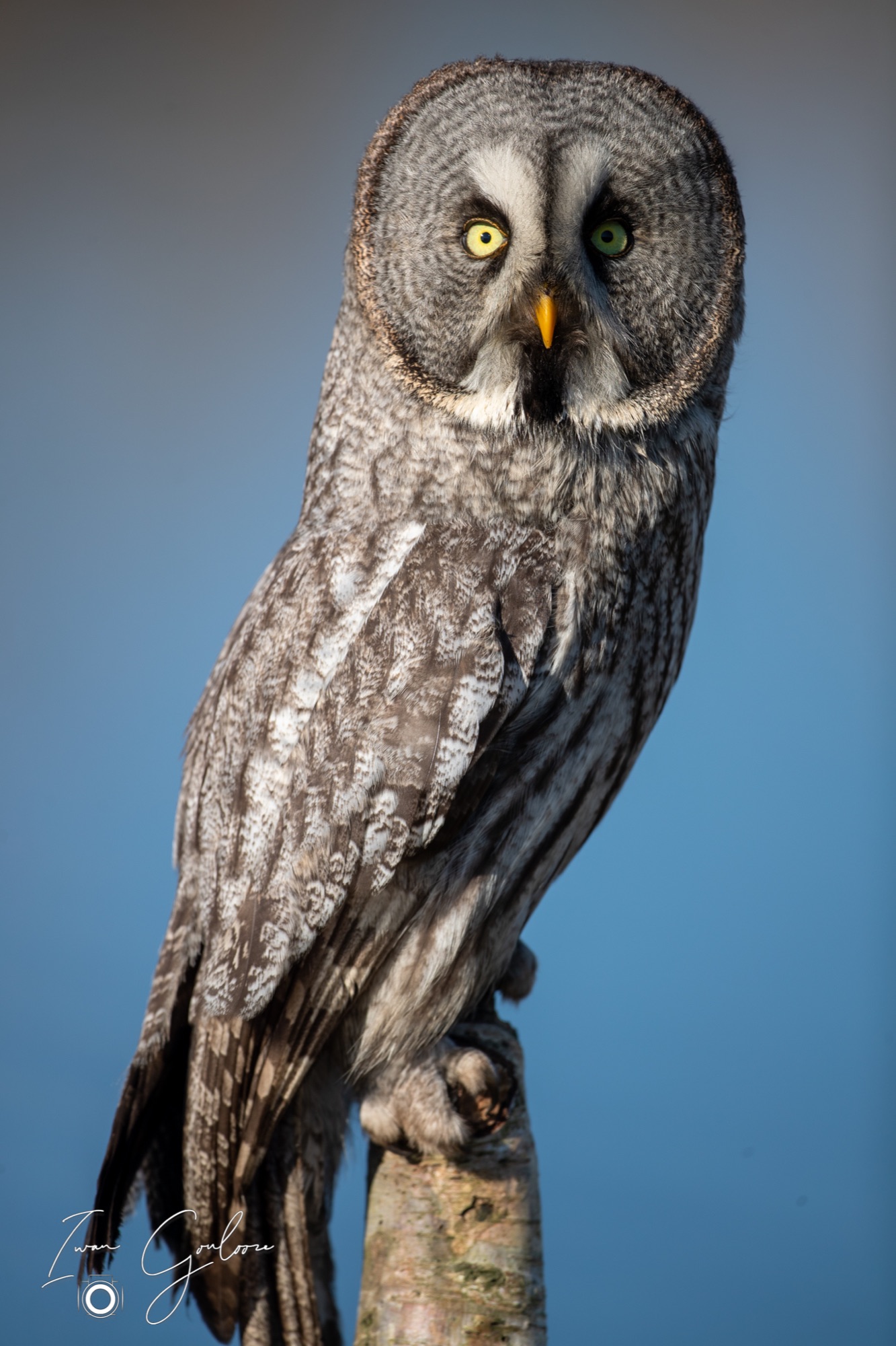 04 maart 2022 152624 1DX44031